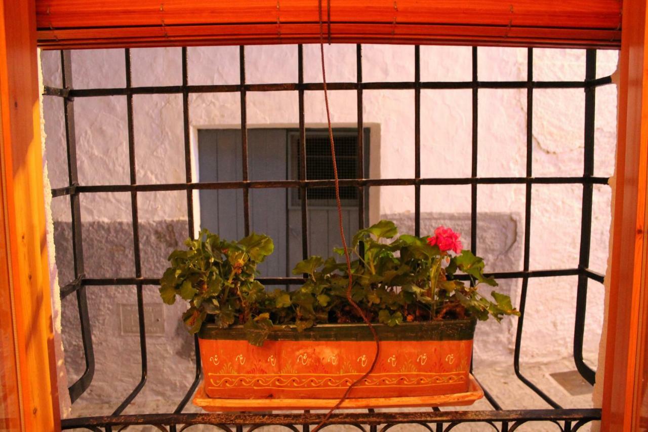 La Casa De La Acequia Guest House Seron ภายนอก รูปภาพ