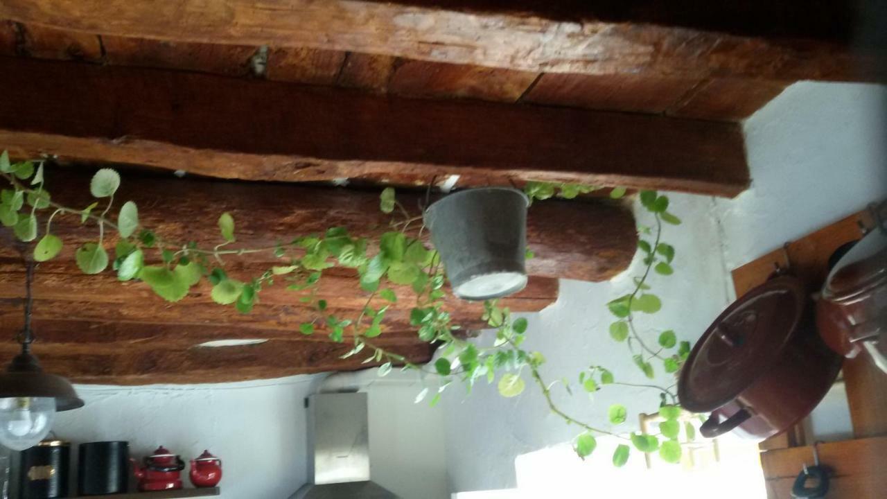 La Casa De La Acequia Guest House Seron ภายนอก รูปภาพ