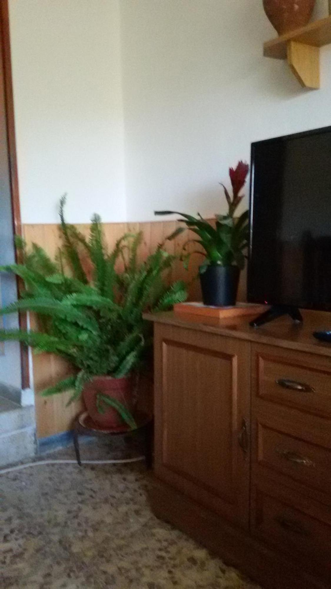 La Casa De La Acequia Guest House Seron ภายนอก รูปภาพ